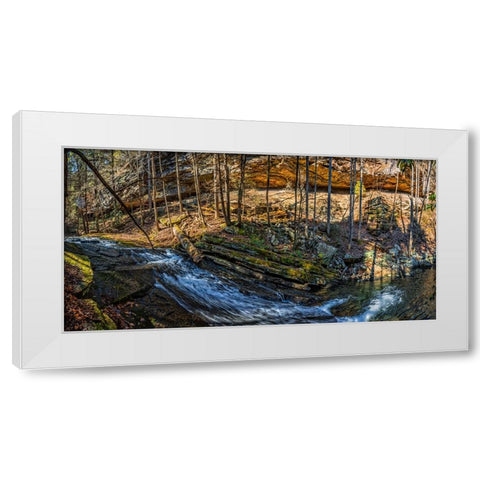 Stinging Fork Slide 1 White Modern Wood Framed Art Print by Lee, Rachel
