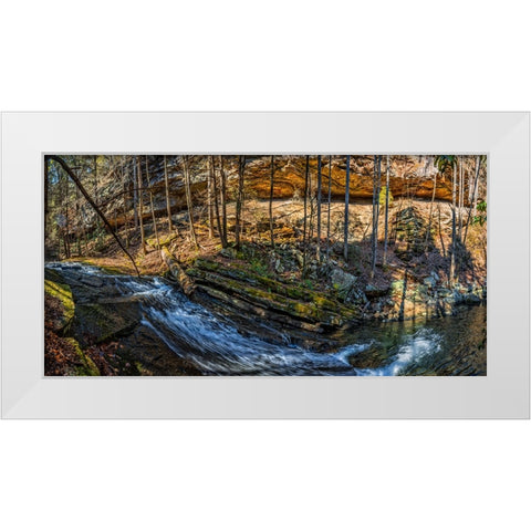 Stinging Fork Slide 1 White Modern Wood Framed Art Print by Lee, Rachel