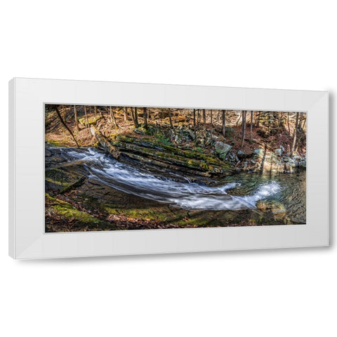 Stinging Fork Slide 2 White Modern Wood Framed Art Print by Lee, Rachel