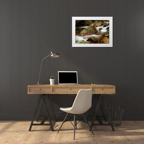 Stream 5 White Modern Wood Framed Art Print by Lee, Rachel