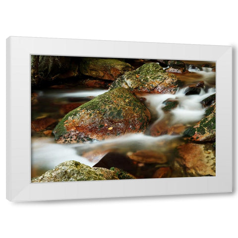 Stream 5 White Modern Wood Framed Art Print by Lee, Rachel
