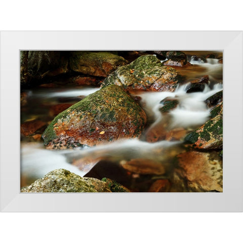 Stream 5 White Modern Wood Framed Art Print by Lee, Rachel