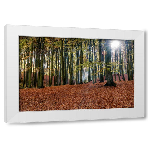 Trees 10 White Modern Wood Framed Art Print by Lee, Rachel