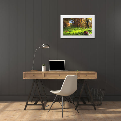 Trees 25 White Modern Wood Framed Art Print by Lee, Rachel