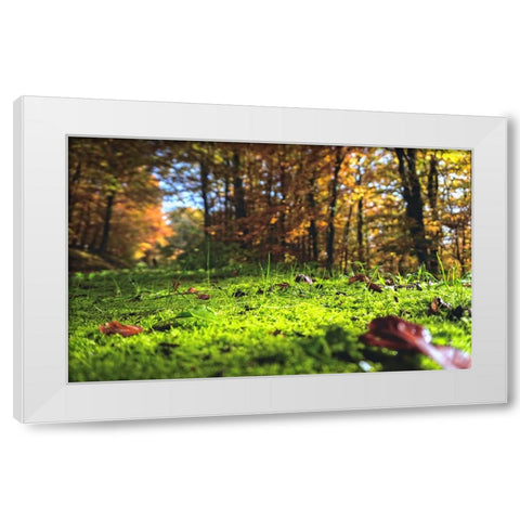 Trees 25 White Modern Wood Framed Art Print by Lee, Rachel
