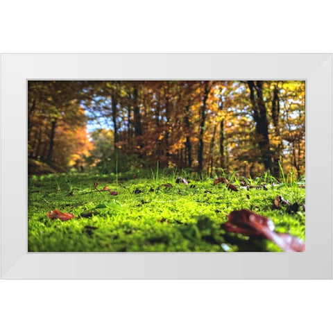 Trees 25 White Modern Wood Framed Art Print by Lee, Rachel