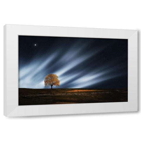 Trees 30 White Modern Wood Framed Art Print by Lee, Rachel
