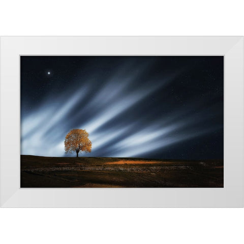 Trees 30 White Modern Wood Framed Art Print by Lee, Rachel