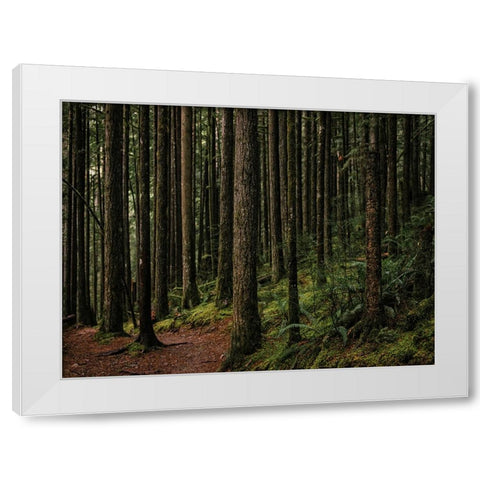Trees 56 White Modern Wood Framed Art Print by Lee, Rachel