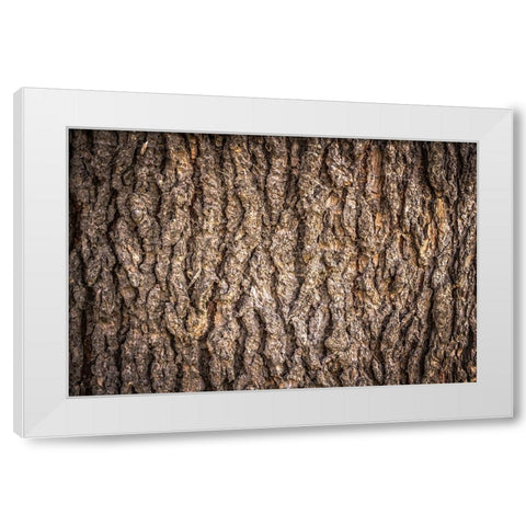 Trees 6 White Modern Wood Framed Art Print by Lee, Rachel