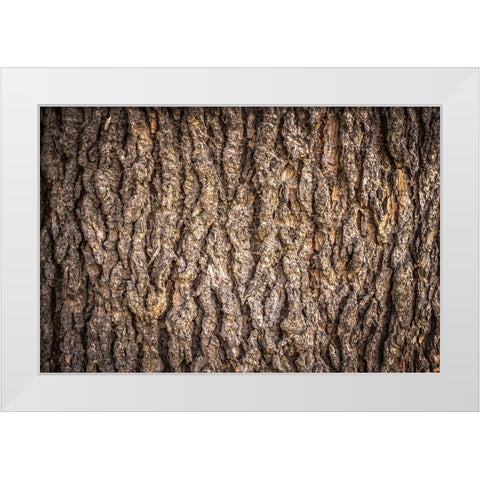 Trees 6 White Modern Wood Framed Art Print by Lee, Rachel