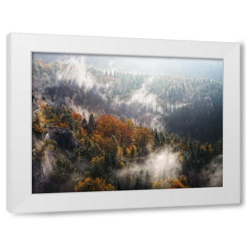 Trees 64 White Modern Wood Framed Art Print by Lee, Rachel