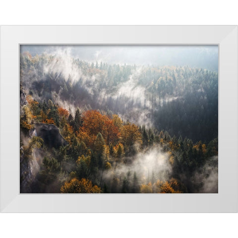 Trees 64 White Modern Wood Framed Art Print by Lee, Rachel