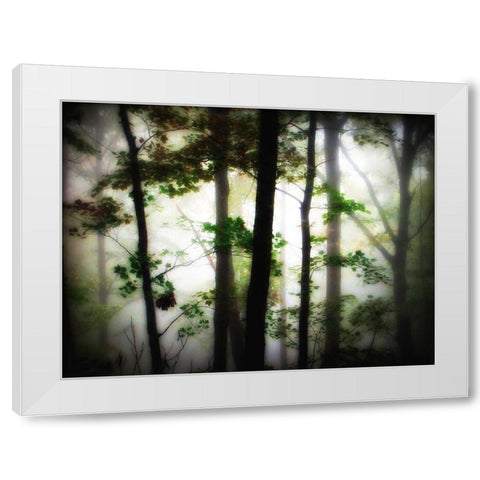 Trees 66 White Modern Wood Framed Art Print by Lee, Rachel