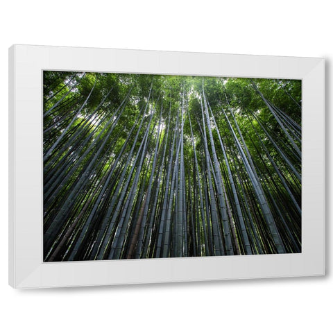 Trees 68 White Modern Wood Framed Art Print by Lee, Rachel