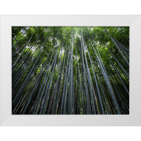 Trees 68 White Modern Wood Framed Art Print by Lee, Rachel