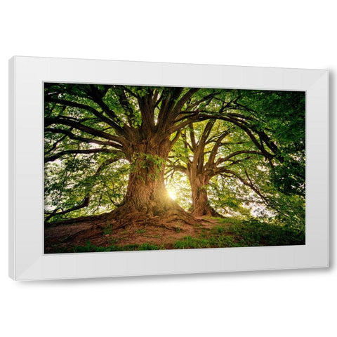Trees 80 White Modern Wood Framed Art Print by Lee, Rachel