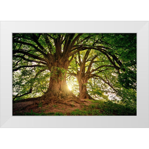 Trees 80 White Modern Wood Framed Art Print by Lee, Rachel