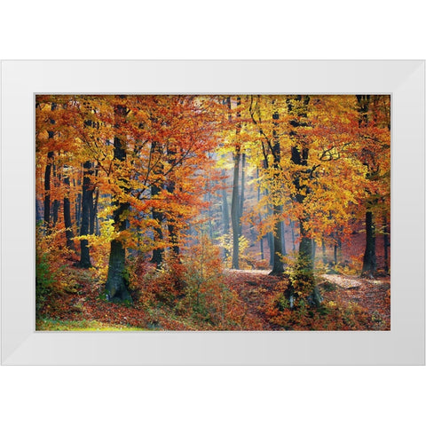 Trees 9 White Modern Wood Framed Art Print by Lee, Rachel