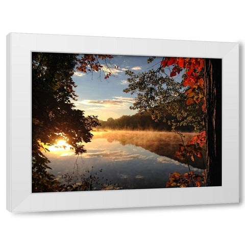 Trees and Water 4 White Modern Wood Framed Art Print by Lee, Rachel