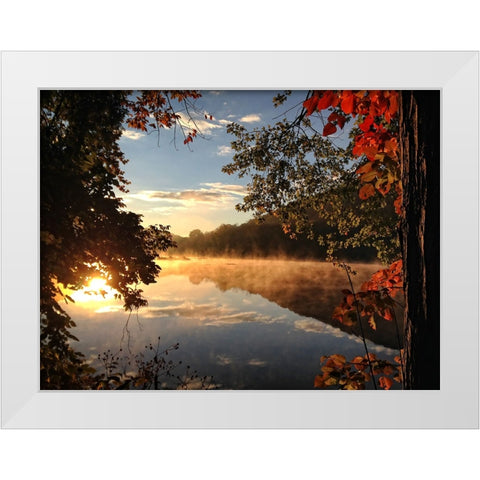 Trees and Water 4 White Modern Wood Framed Art Print by Lee, Rachel