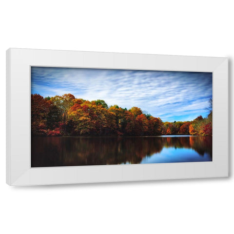 Trees and Water 5 White Modern Wood Framed Art Print by Lee, Rachel
