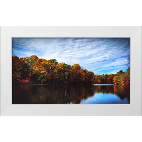 Trees and Water 5 White Modern Wood Framed Art Print by Lee, Rachel
