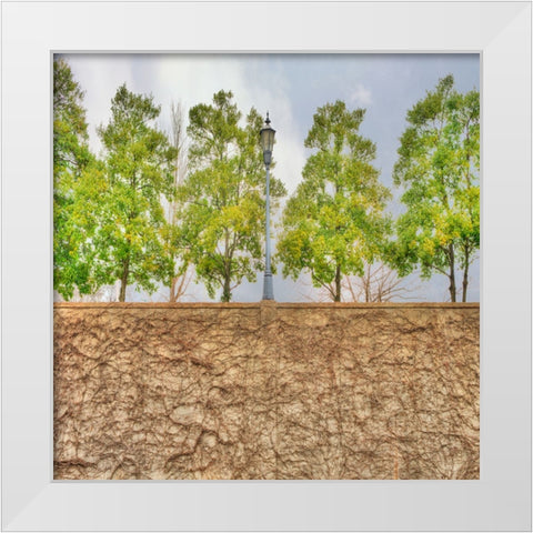 Vine Wall And Trees White Modern Wood Framed Art Print by Lee, Rachel