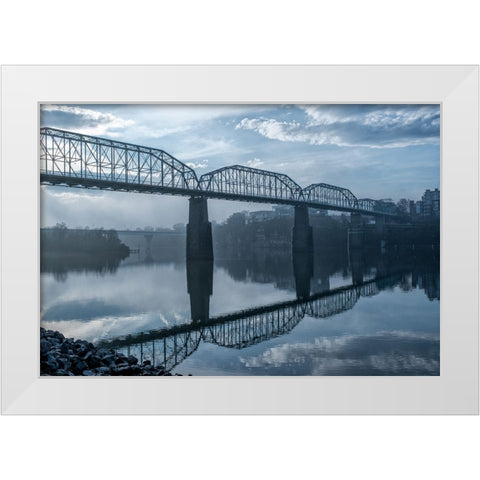 Walnut Early Light White Modern Wood Framed Art Print by Lee, Rachel