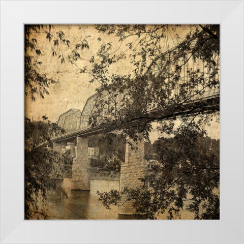 Walnut From South Textured White Modern Wood Framed Art Print by Lee, Rachel