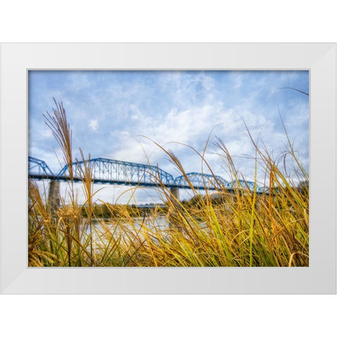 Walnut Grass White Modern Wood Framed Art Print by Lee, Rachel