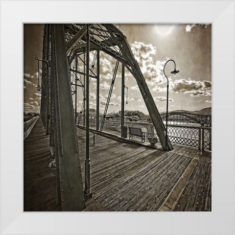 Walnut Sideview Textured White Modern Wood Framed Art Print by Lee, Rachel