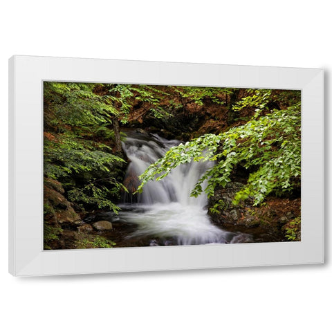Waterfall 6 White Modern Wood Framed Art Print by Lee, Rachel