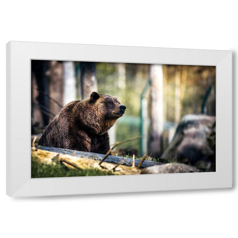 Wildlife 10 White Modern Wood Framed Art Print by Lee, Rachel