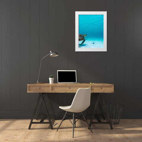 Wildlife 16 White Modern Wood Framed Art Print by Lee, Rachel