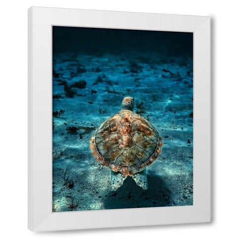 Wildlife 17 White Modern Wood Framed Art Print by Lee, Rachel