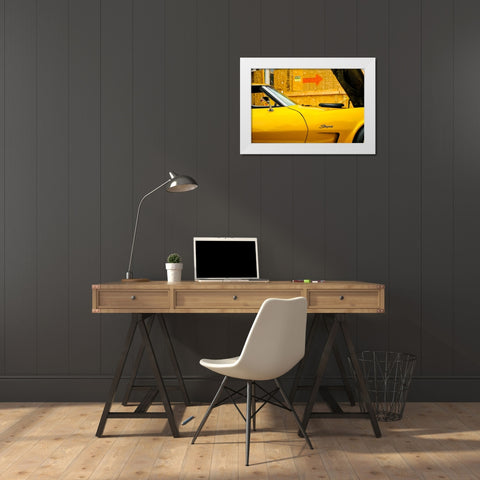 Stingray White Modern Wood Framed Art Print by Malone, Will