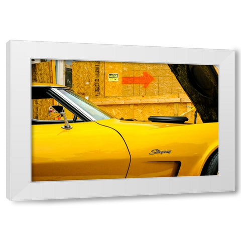 Stingray White Modern Wood Framed Art Print by Malone, Will