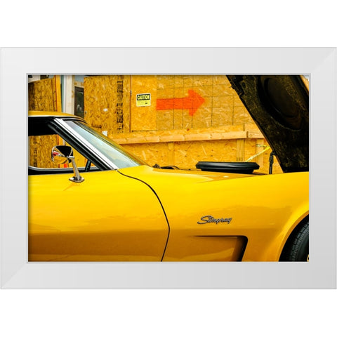 Stingray White Modern Wood Framed Art Print by Malone, Will
