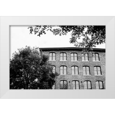 Sunny Windows BW  White Modern Wood Framed Art Print by Malone, Will
