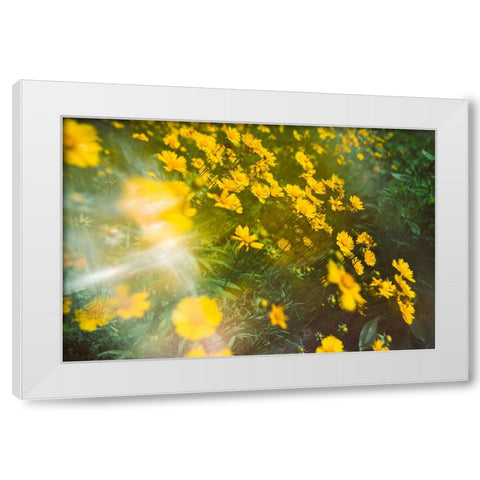 Springtime White Modern Wood Framed Art Print by Malone, Will