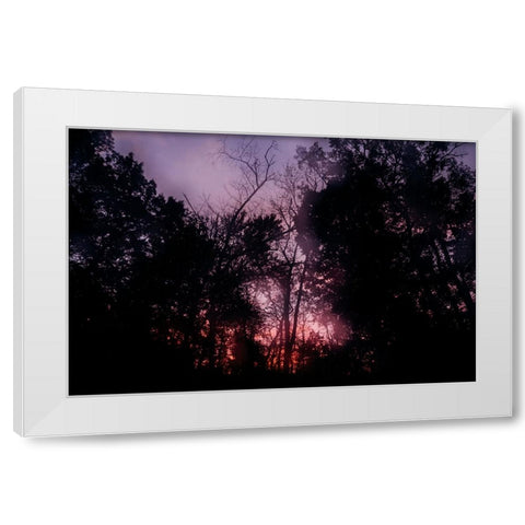 Sunset 2 White Modern Wood Framed Art Print by Malone, Will
