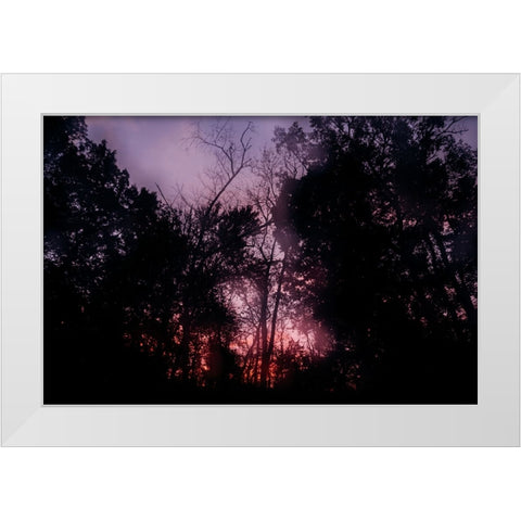 Sunset 2 White Modern Wood Framed Art Print by Malone, Will