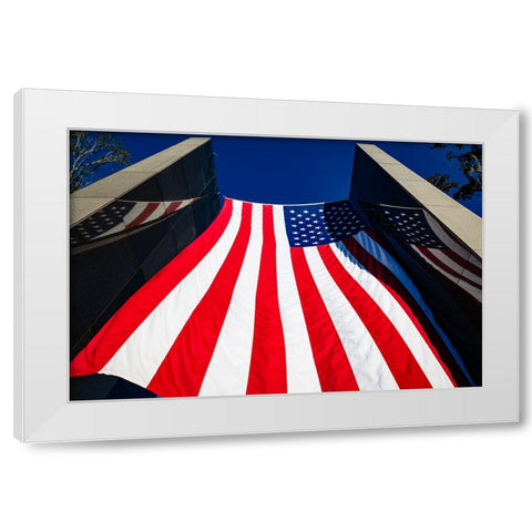 America White Modern Wood Framed Art Print by Malone, Will