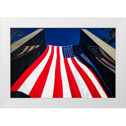 America White Modern Wood Framed Art Print by Malone, Will