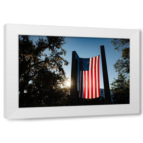 America 2 White Modern Wood Framed Art Print by Malone, Will