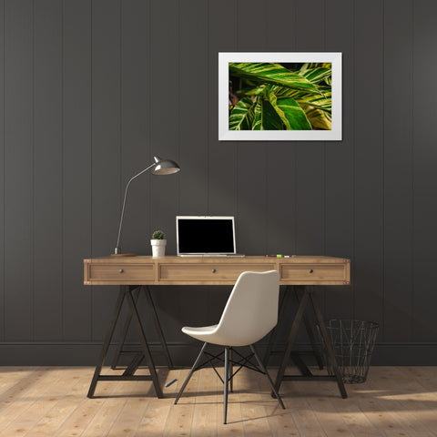 Green White Modern Wood Framed Art Print by Malone, Will
