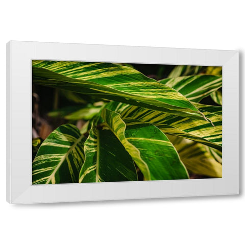 Green White Modern Wood Framed Art Print by Malone, Will