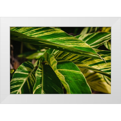 Green White Modern Wood Framed Art Print by Malone, Will