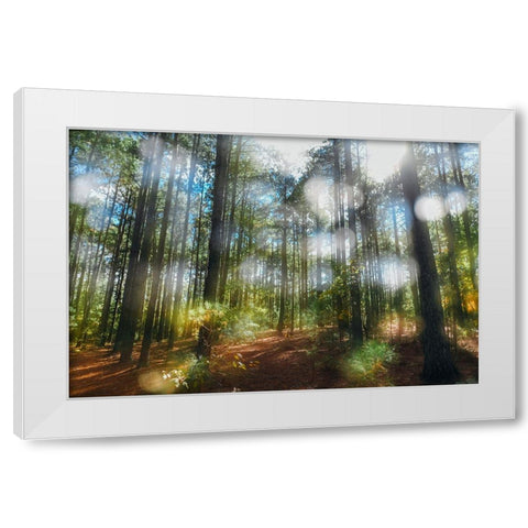 Blurry Forest White Modern Wood Framed Art Print by Malone, Will